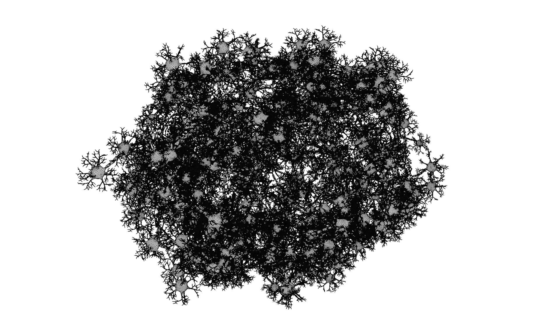 -Neural Network V3- 3D model_11