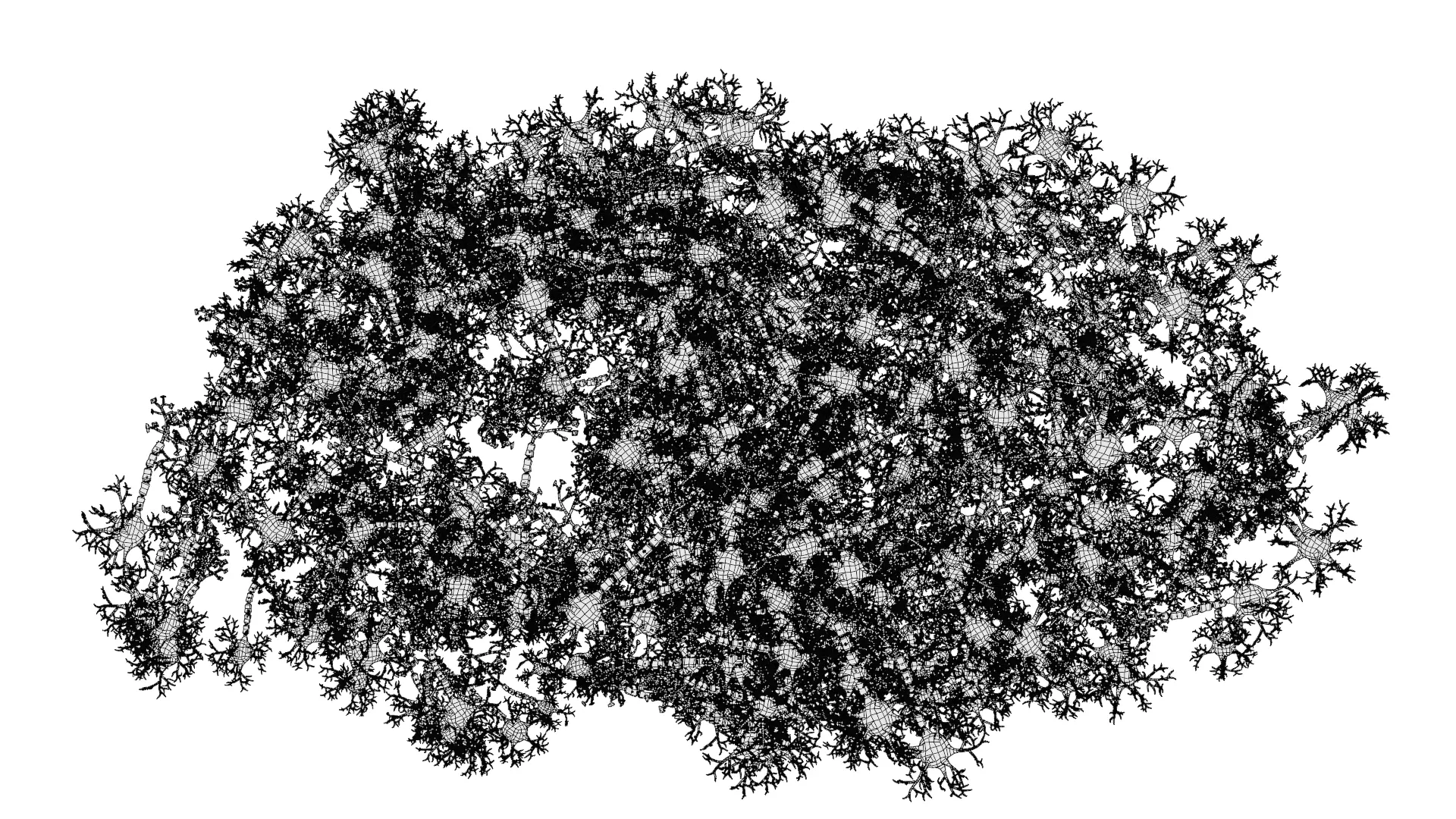 -Neural Network V3- 3D model_8