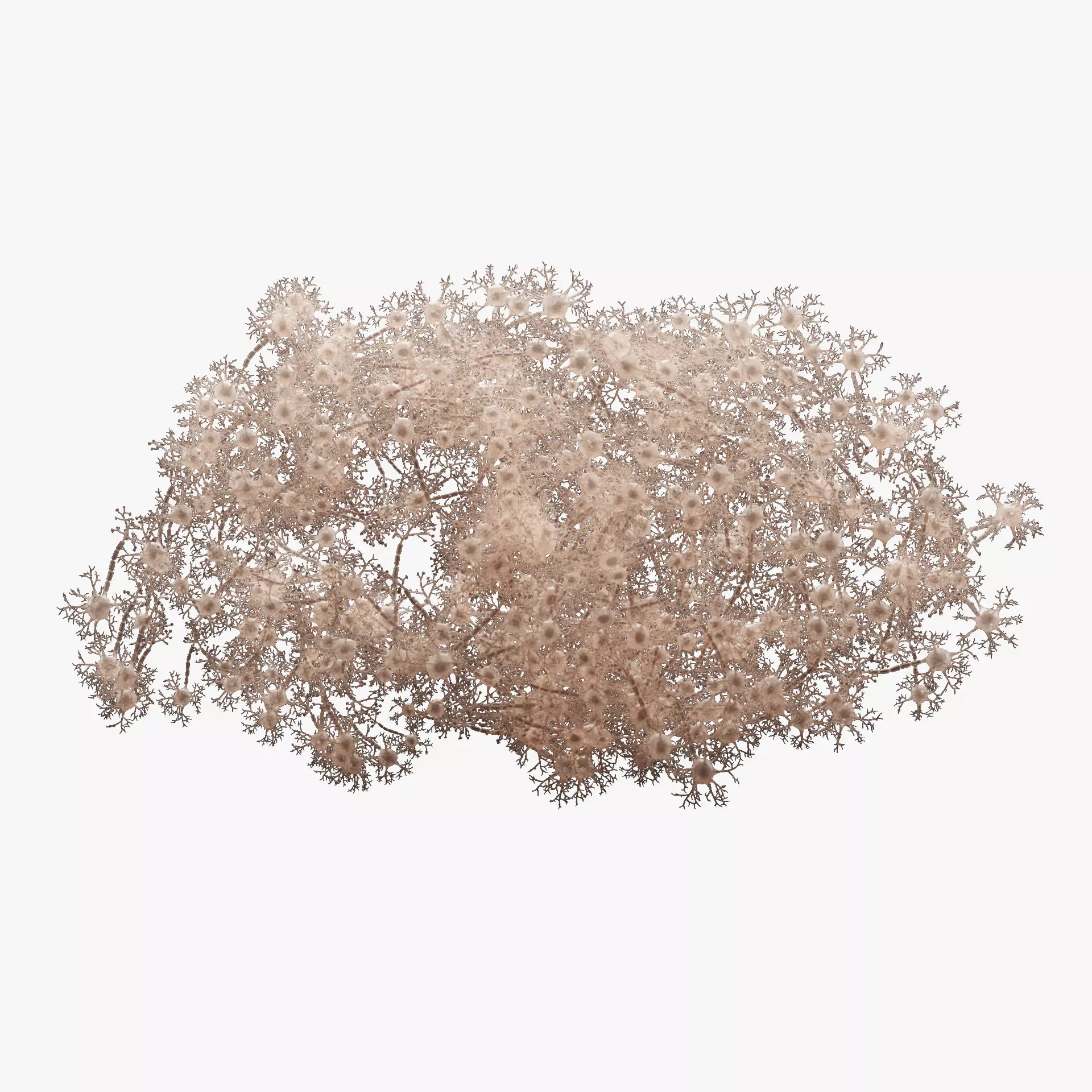 -Neural Network V3- 3D model_12