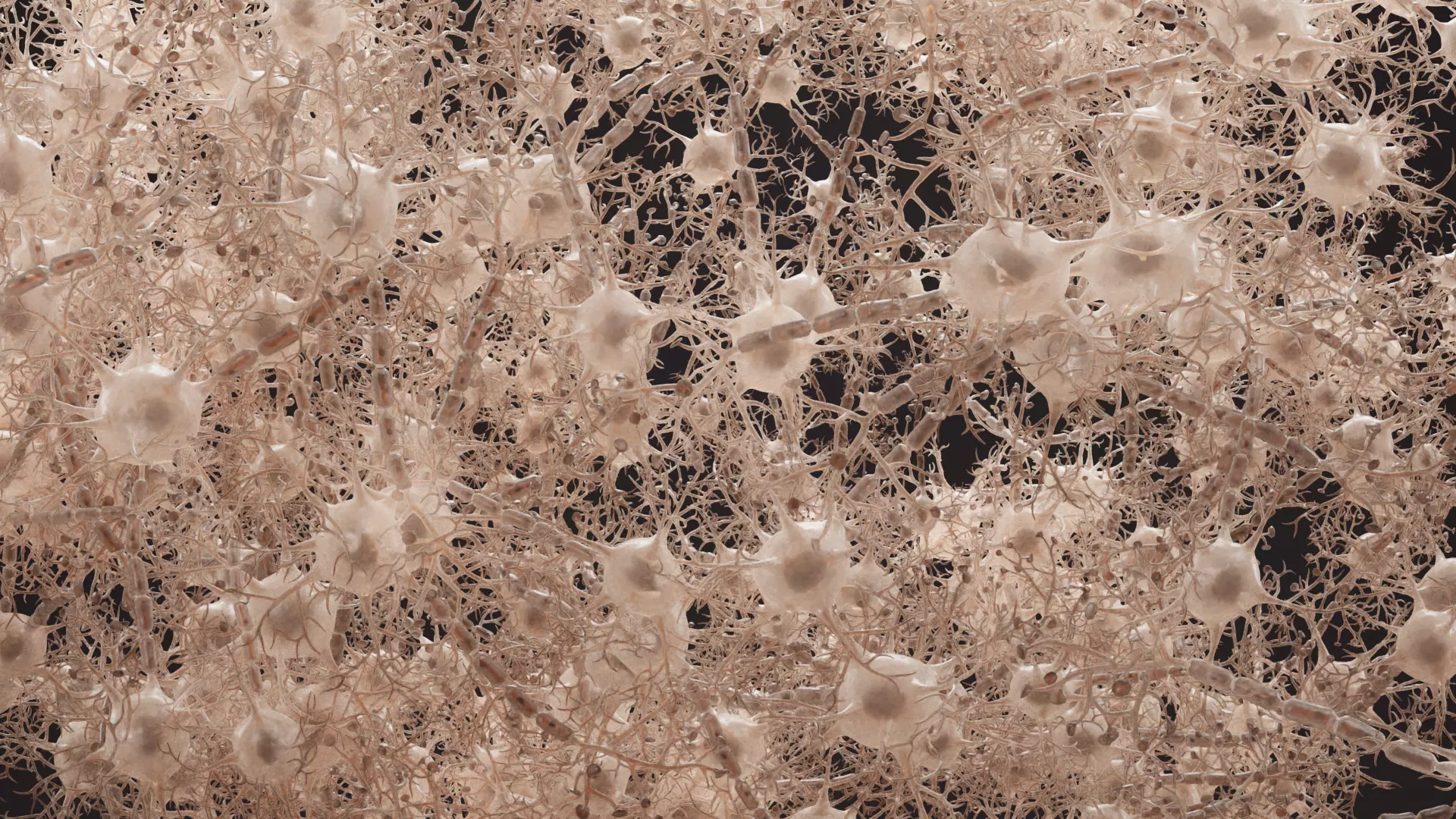 -Neural Network V3- 3D model_4