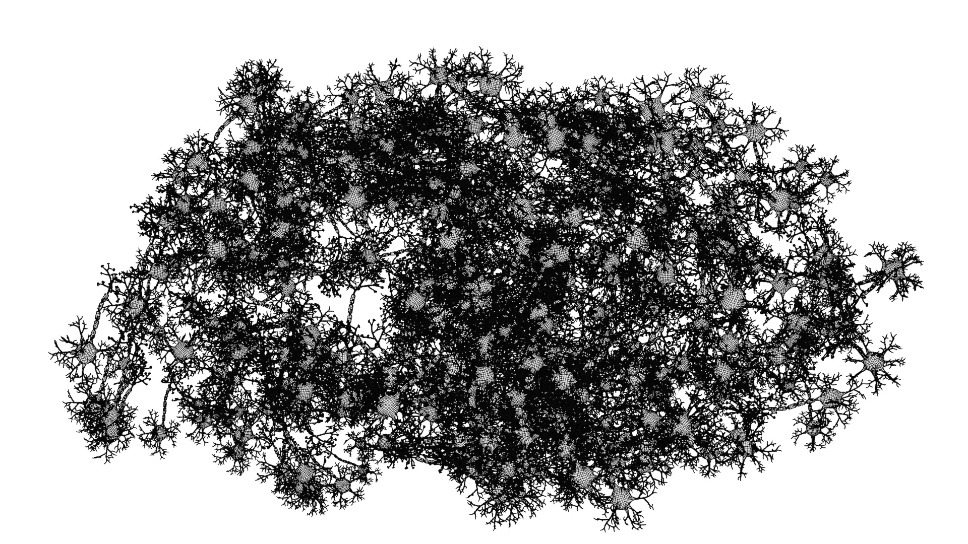 -Neural Network V3- 3D model_9