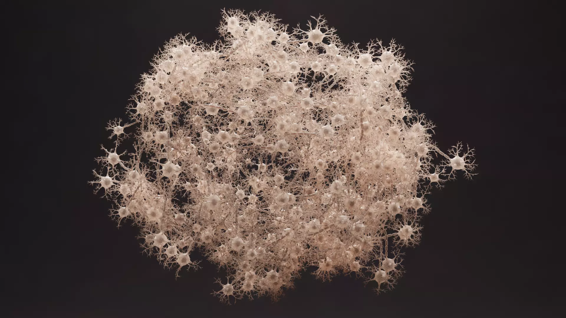 -Neural Network V3- 3D model_1