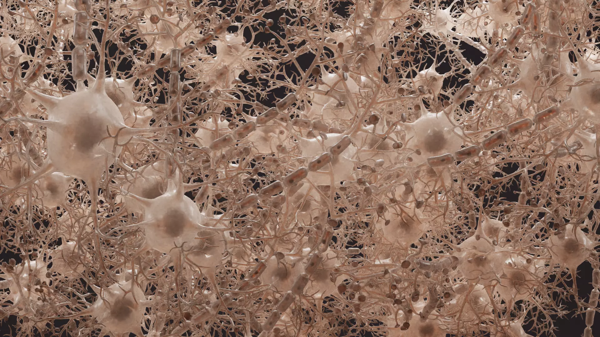 -Neural Network V3- 3D model_6