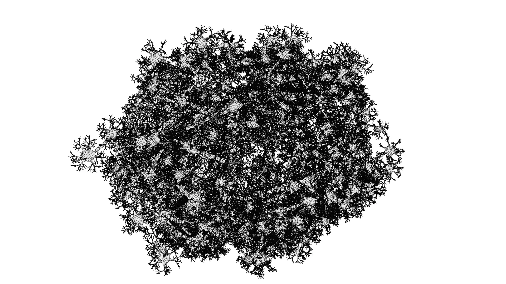 -Neural Network V3- 3D model_10