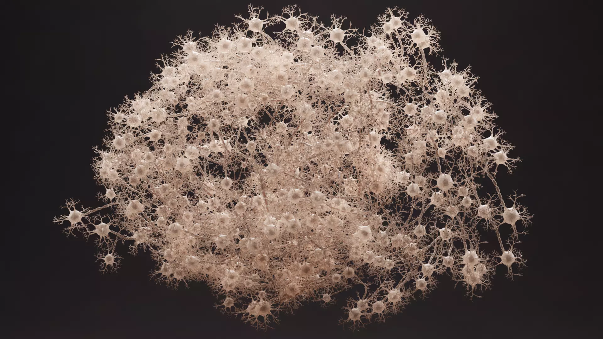 -Neural Network V3- 3D model_2