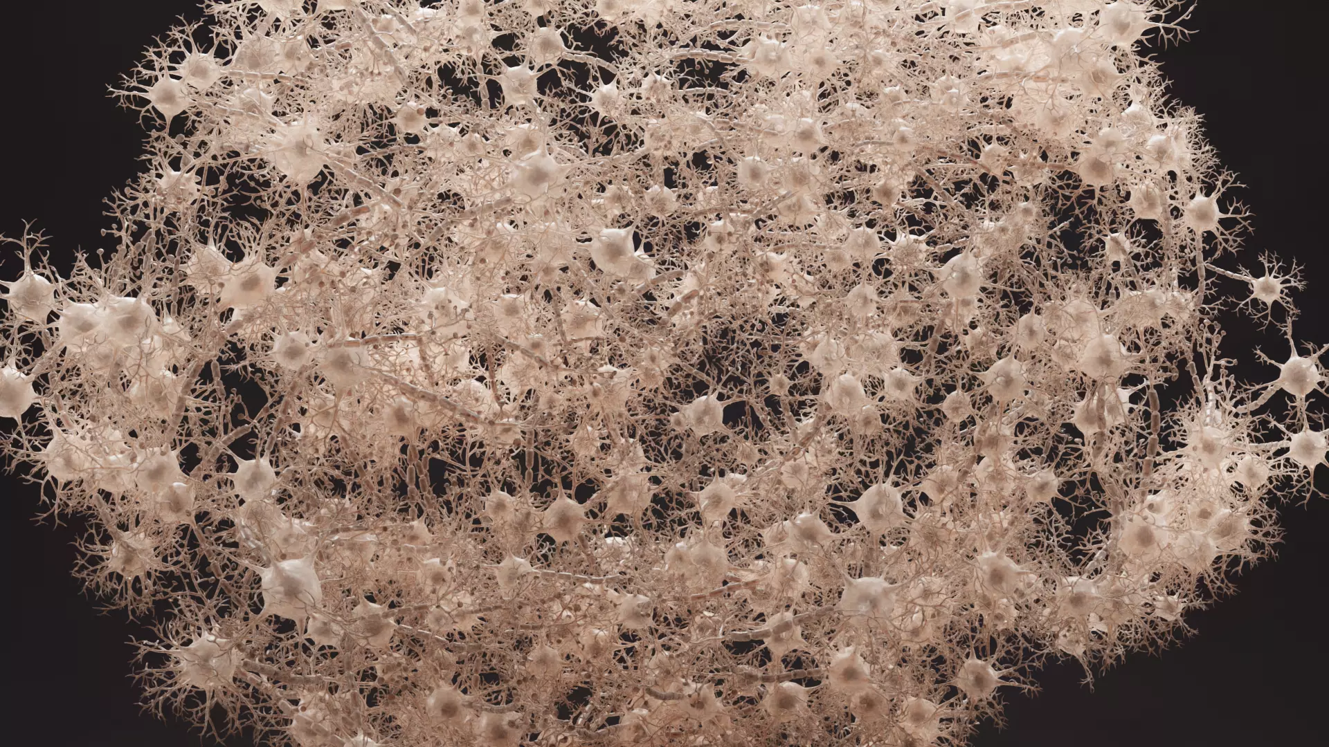 -Neural Network V3- 3D model_3