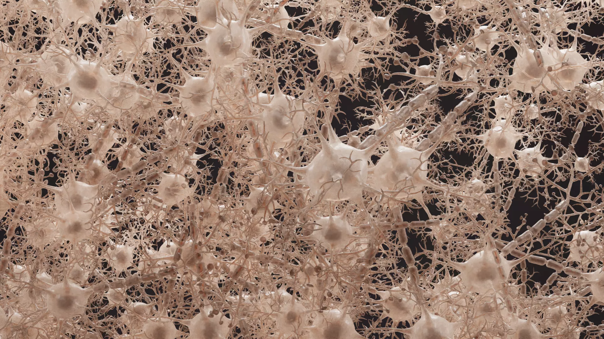 -Neural Network V3- 3D model_5