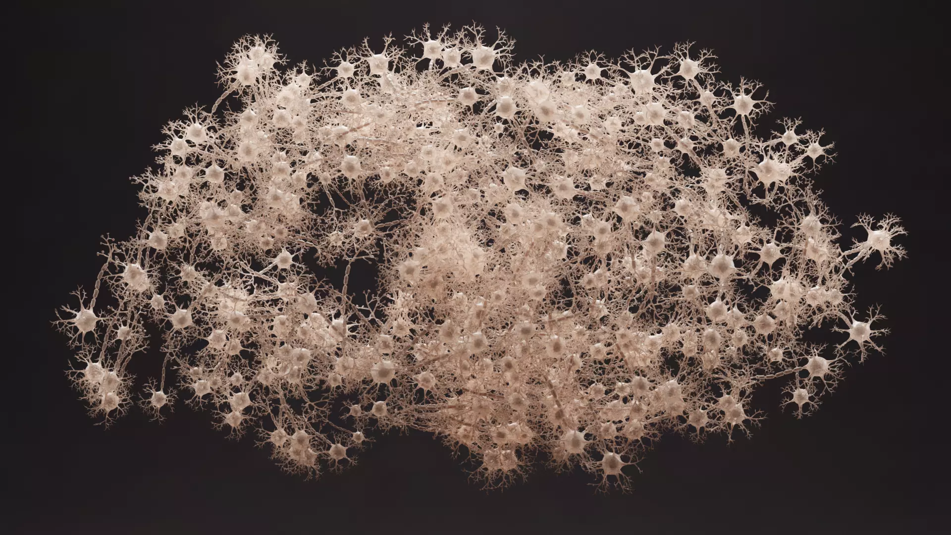 -Neural Network V3- 3D model_0