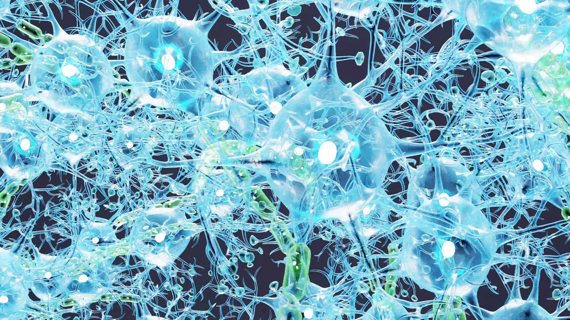 -Neural Network V4- 3D model_6