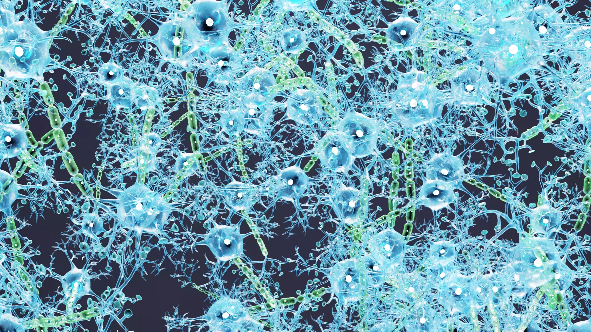 -Neural Network V4- 3D model_4