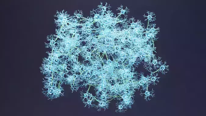 Neural Network V4 - Human Neuron Cluster