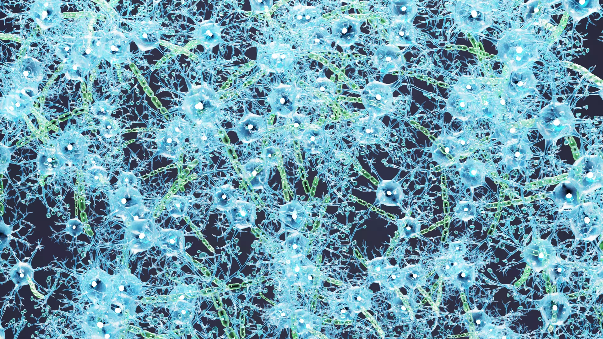 -Neural Network V4- 3D model_3