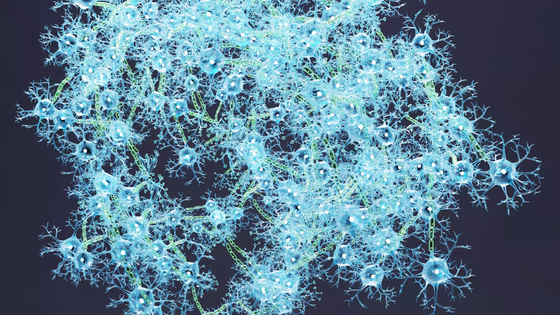 -Neural Network V4- 3D model_2