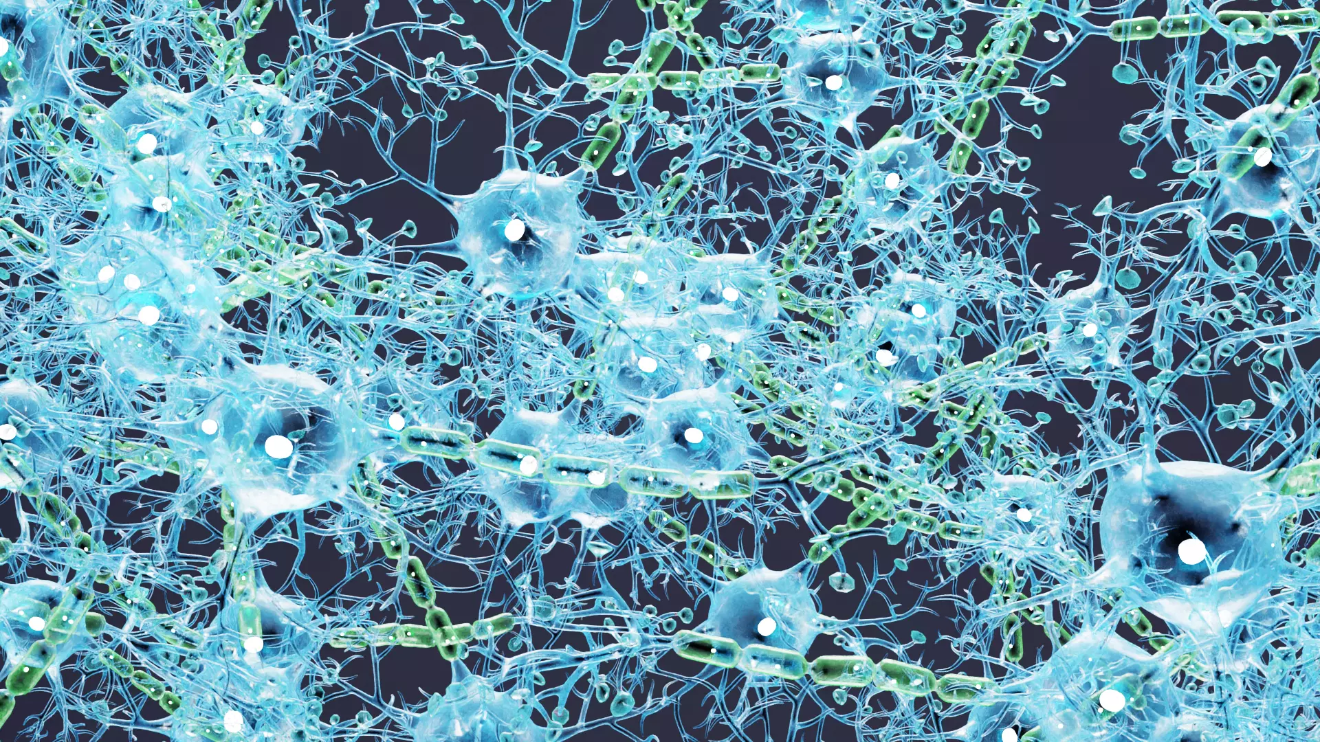 -Neural Network V4- 3D model_5