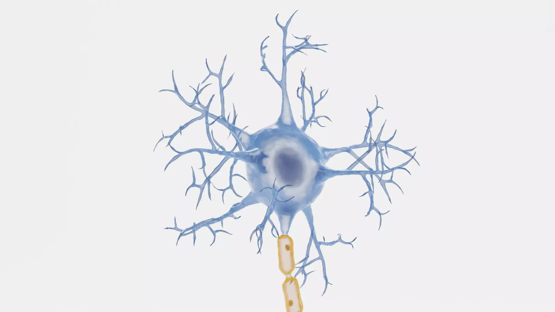 -Neuron V1- 3D model_6