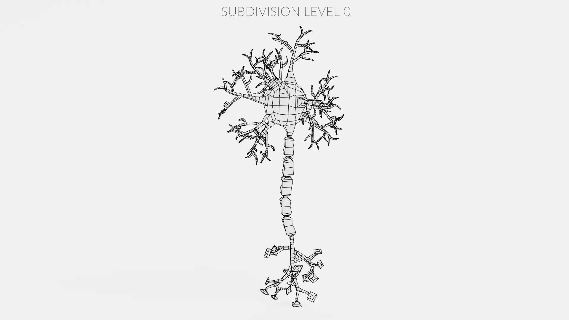 -Neuron V1- 3D model_13