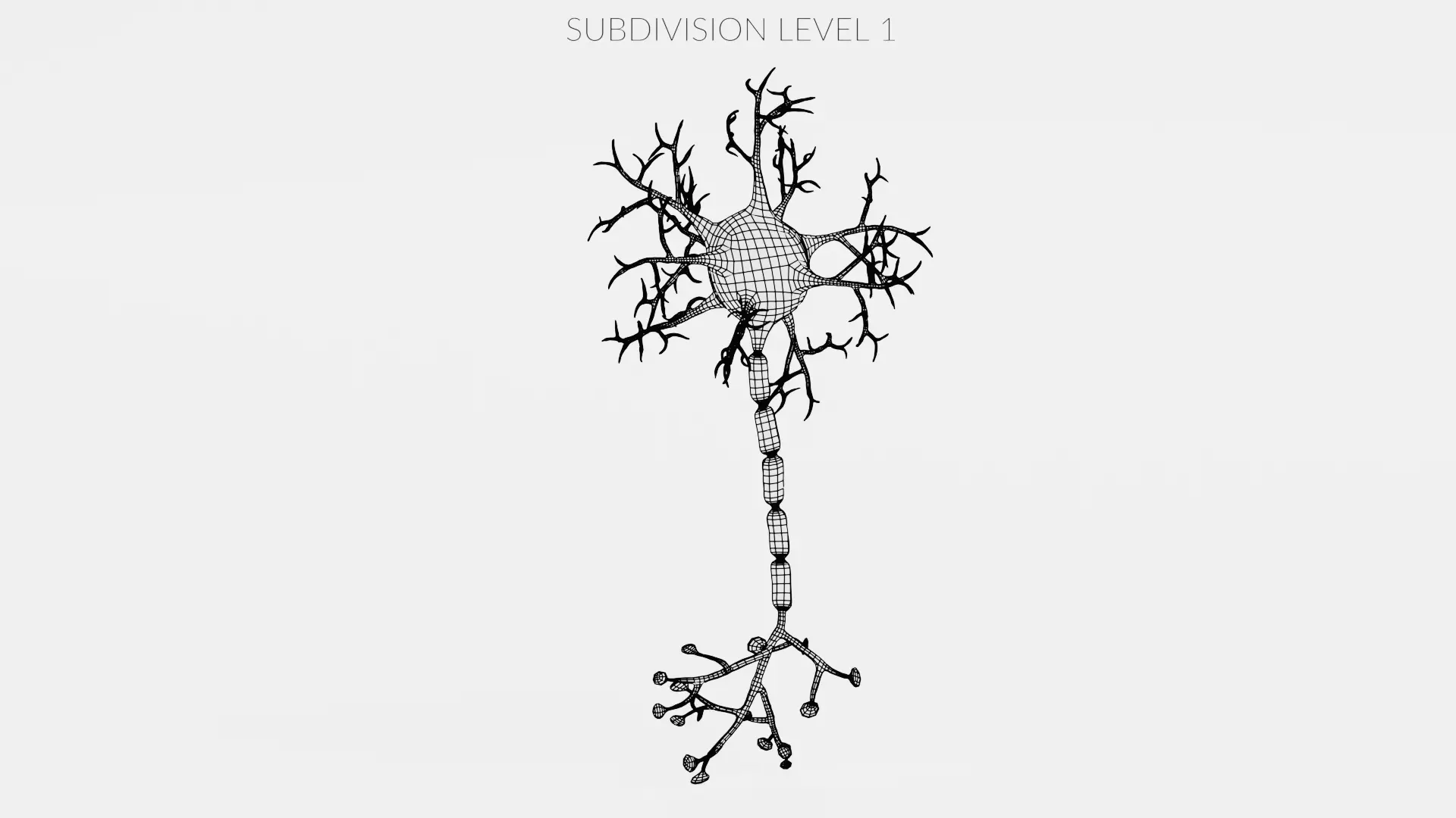 -Neuron V1- 3D model_12