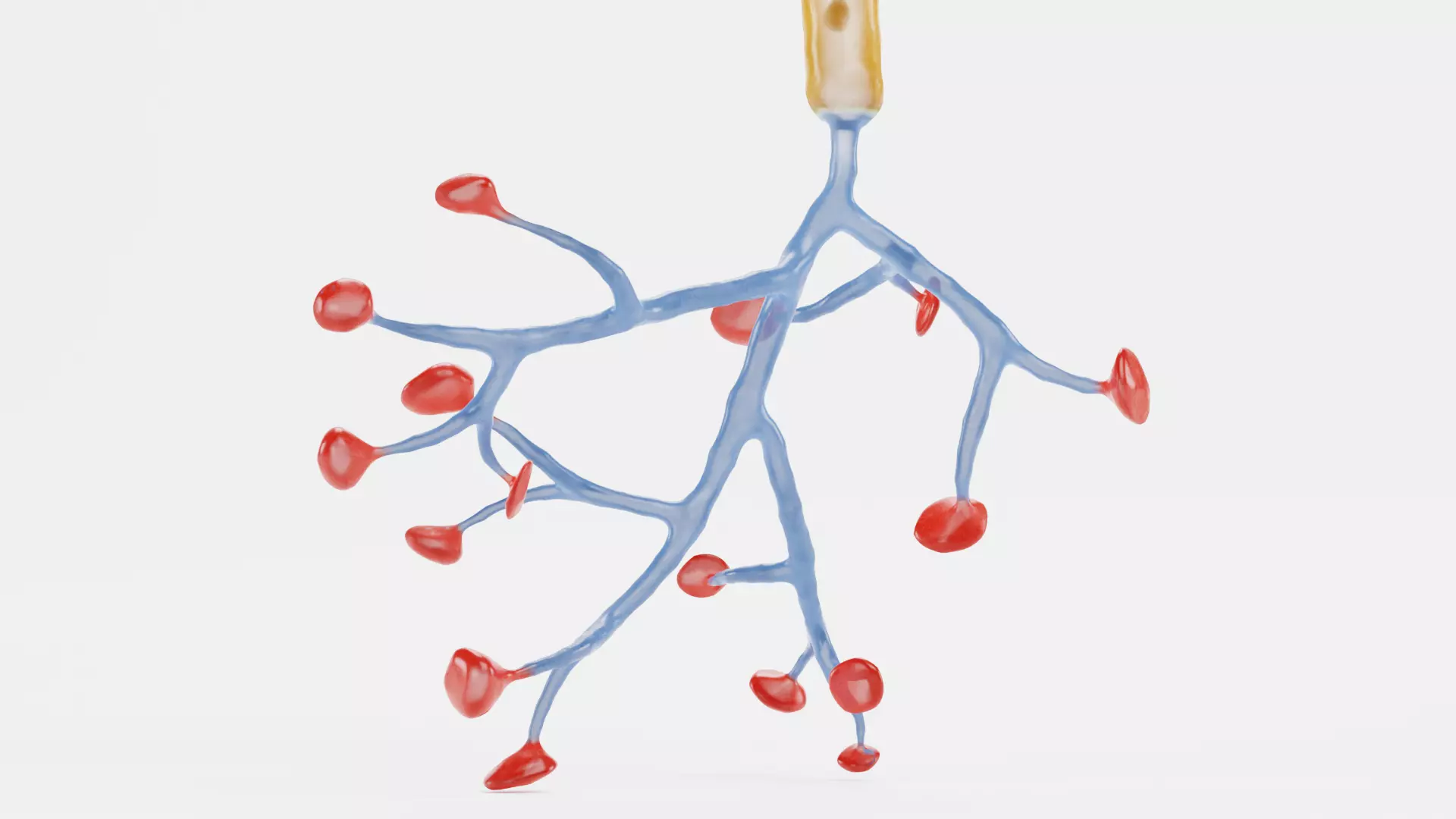 -Neuron V1- 3D model_9