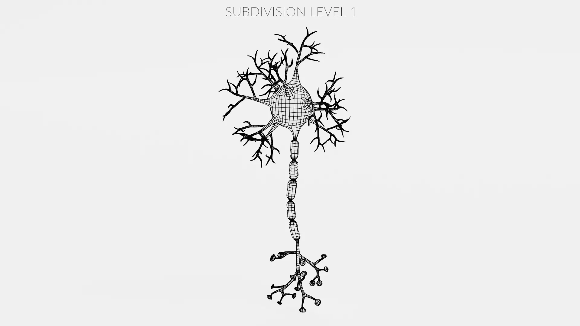-Neuron V2- 3D model_12