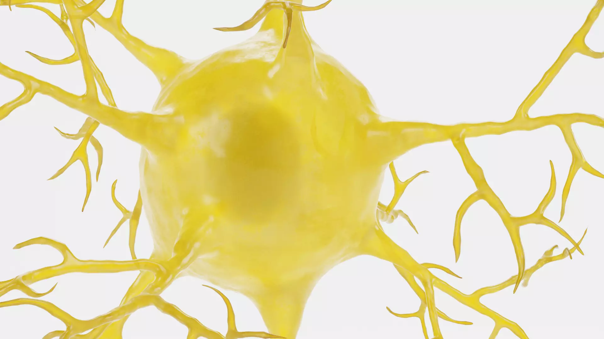 -Neuron V2- 3D model_6