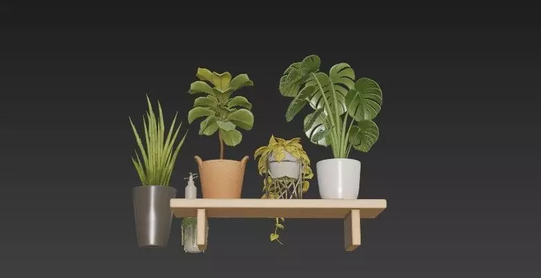 Modern Indoor Houseplant Collection - 3D Potted Plants Set 3D model_10