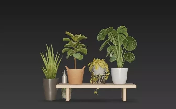 Modern Indoor Houseplant Collection - 3D Potted Plants Set 3D model_5