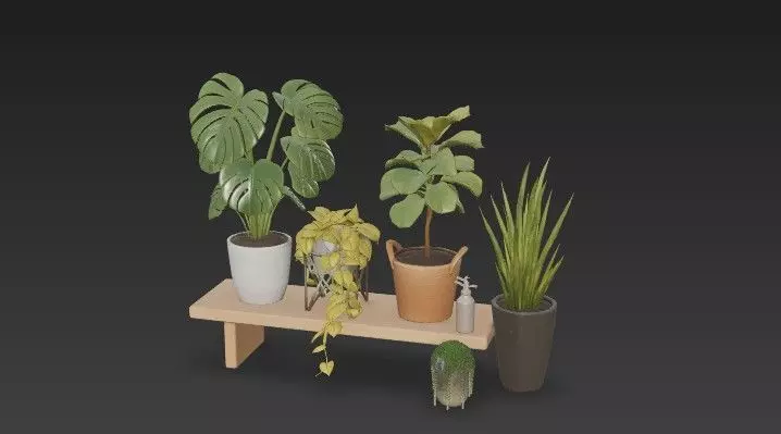 Modern Indoor Houseplant Collection - 3D Potted Plants Set 3D model_4