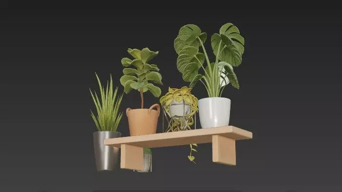 Modern Indoor Houseplant Collection - 3D Potted Plants Set 3D model_9