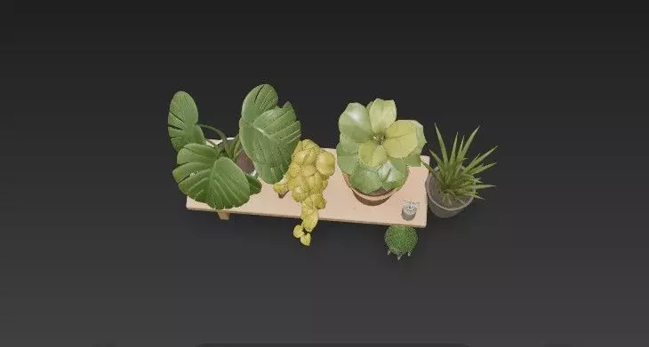 Modern Indoor Houseplant Collection - 3D Potted Plants Set 3D model_11