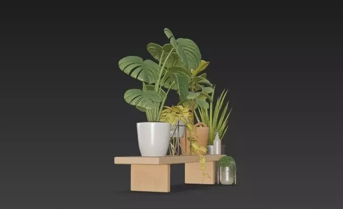 Modern Indoor Houseplant Collection - 3D Potted Plants Set 3D model_1