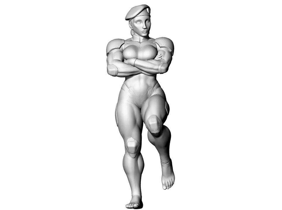 Lady Soldatin 3D print model_3