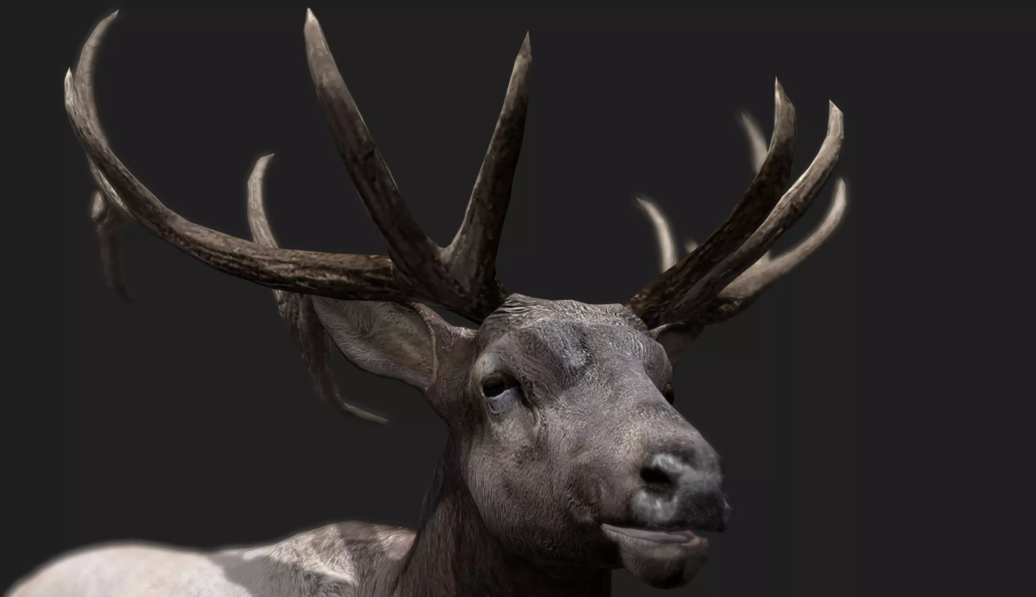 Deer Animated and Rigged Low-poly 3D model_15