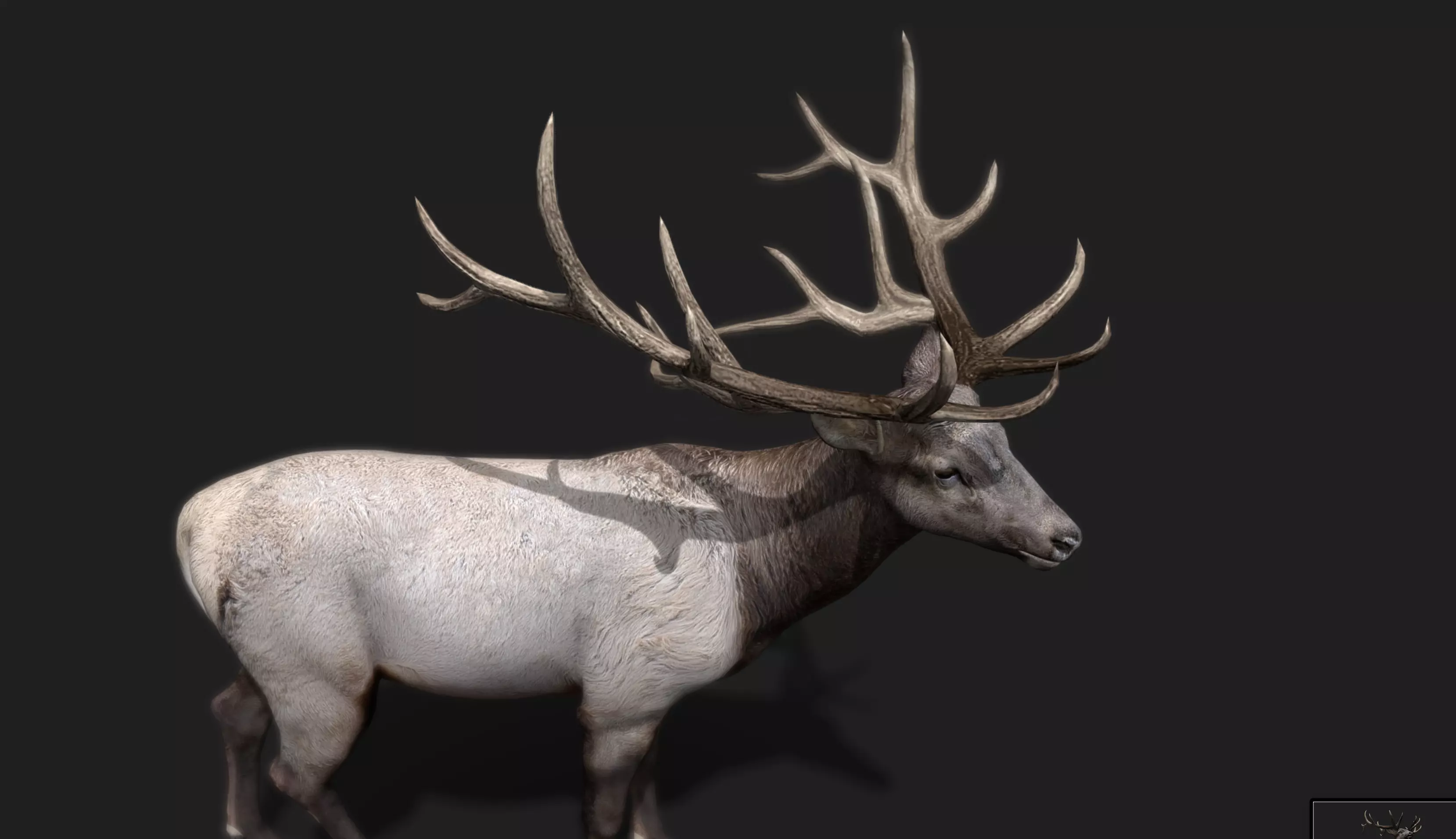 Deer Animated and Rigged Low-poly 3D model_9