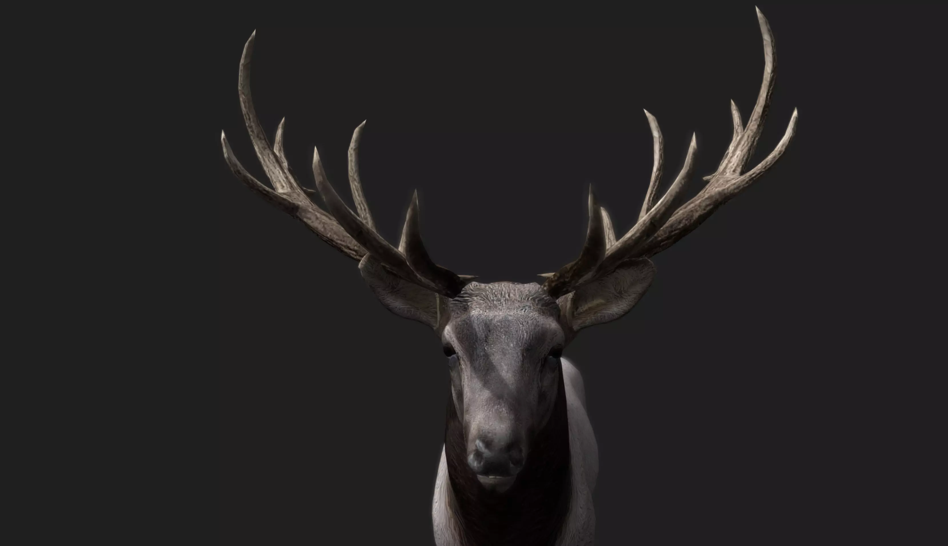 Deer Animated and Rigged Low-poly 3D model_3