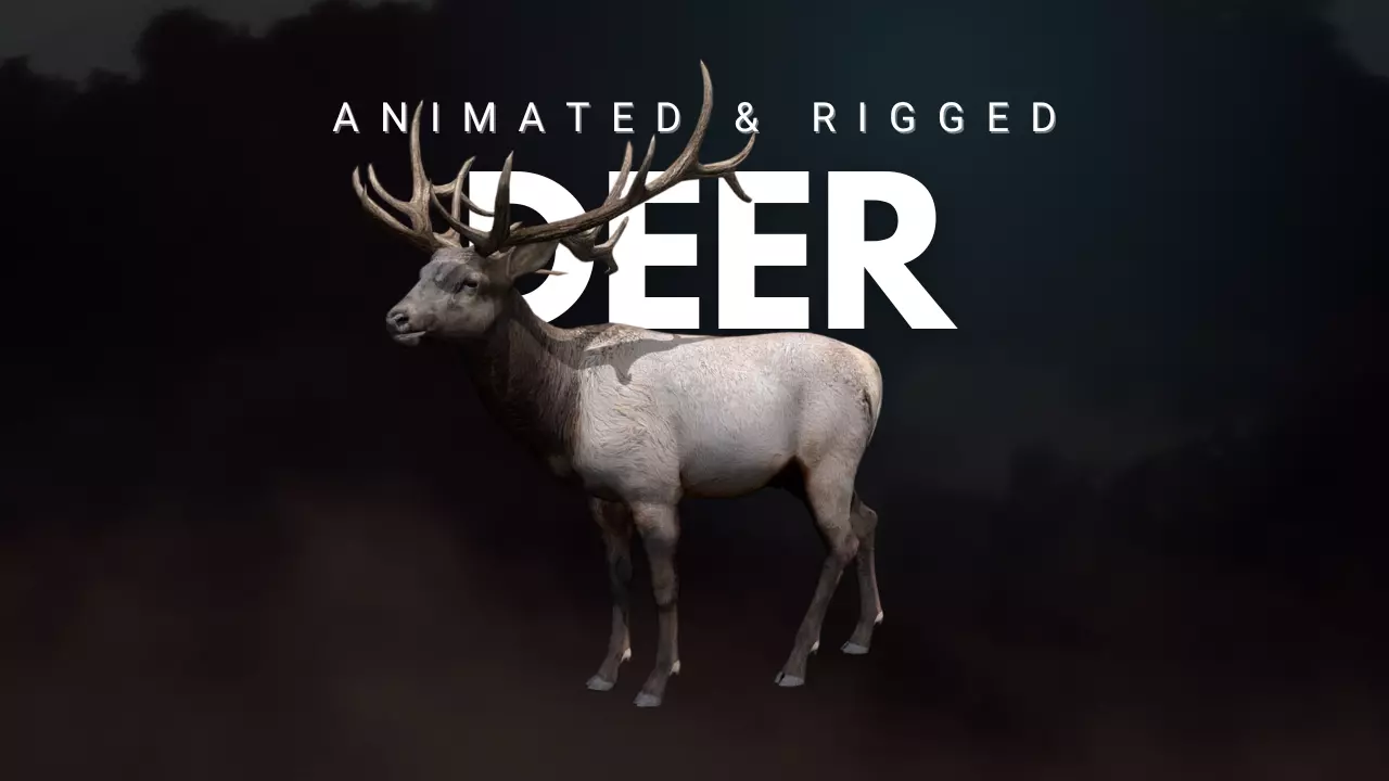 Deer Animated and Rigged Low-poly 3D model_0