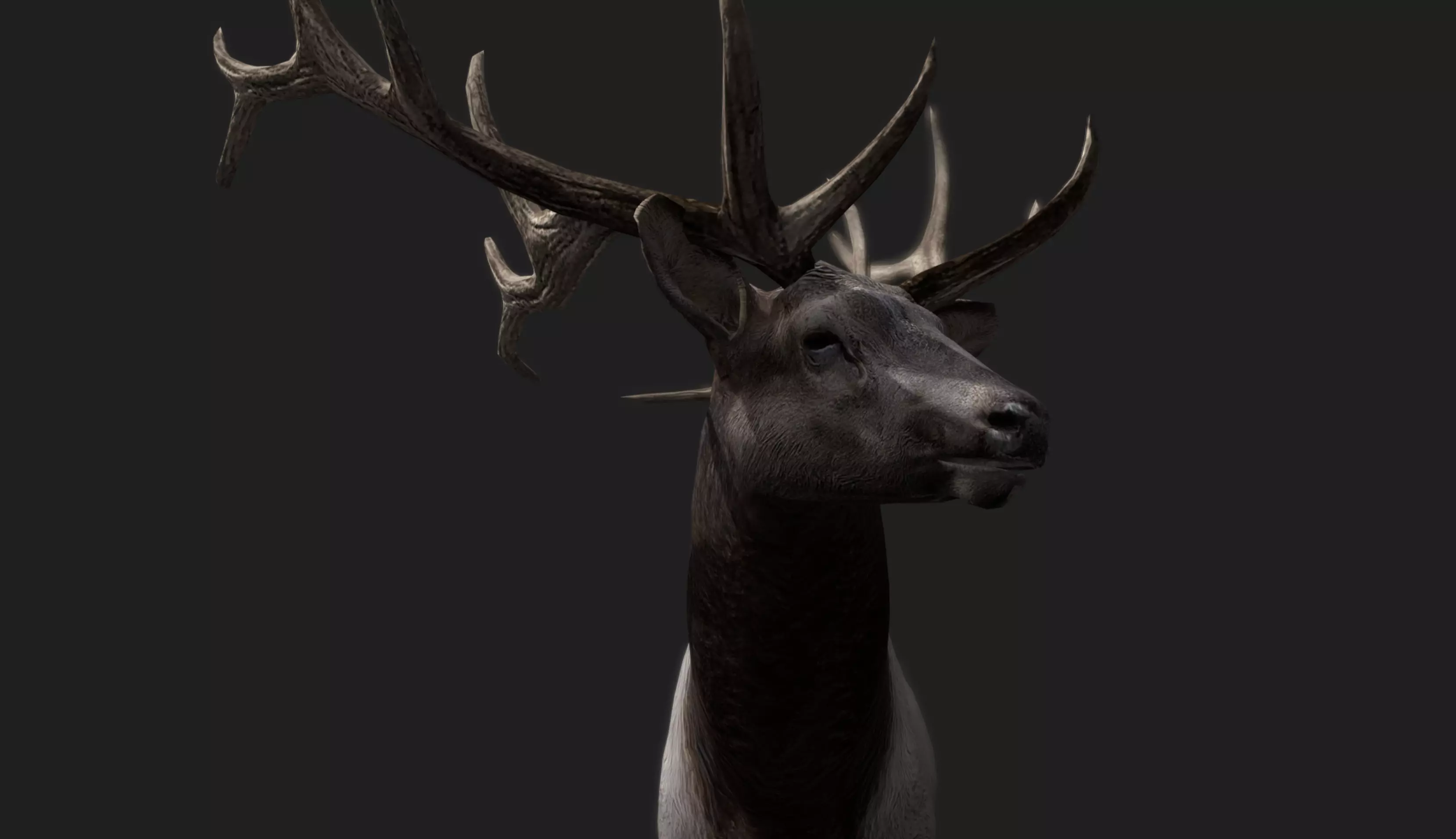 Deer Animated and Rigged Low-poly 3D model_7