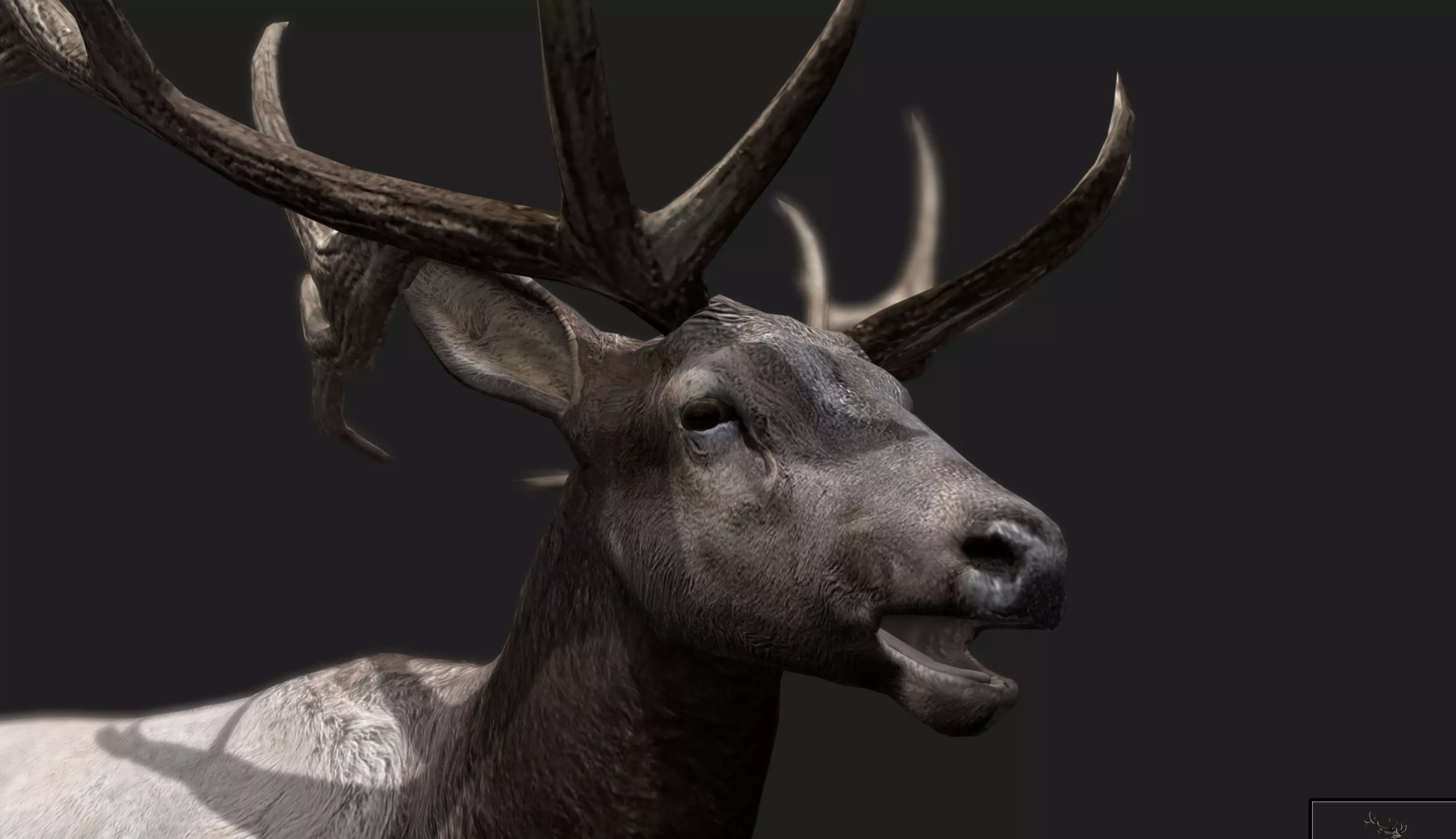 Deer Animated and Rigged Low-poly 3D model_10