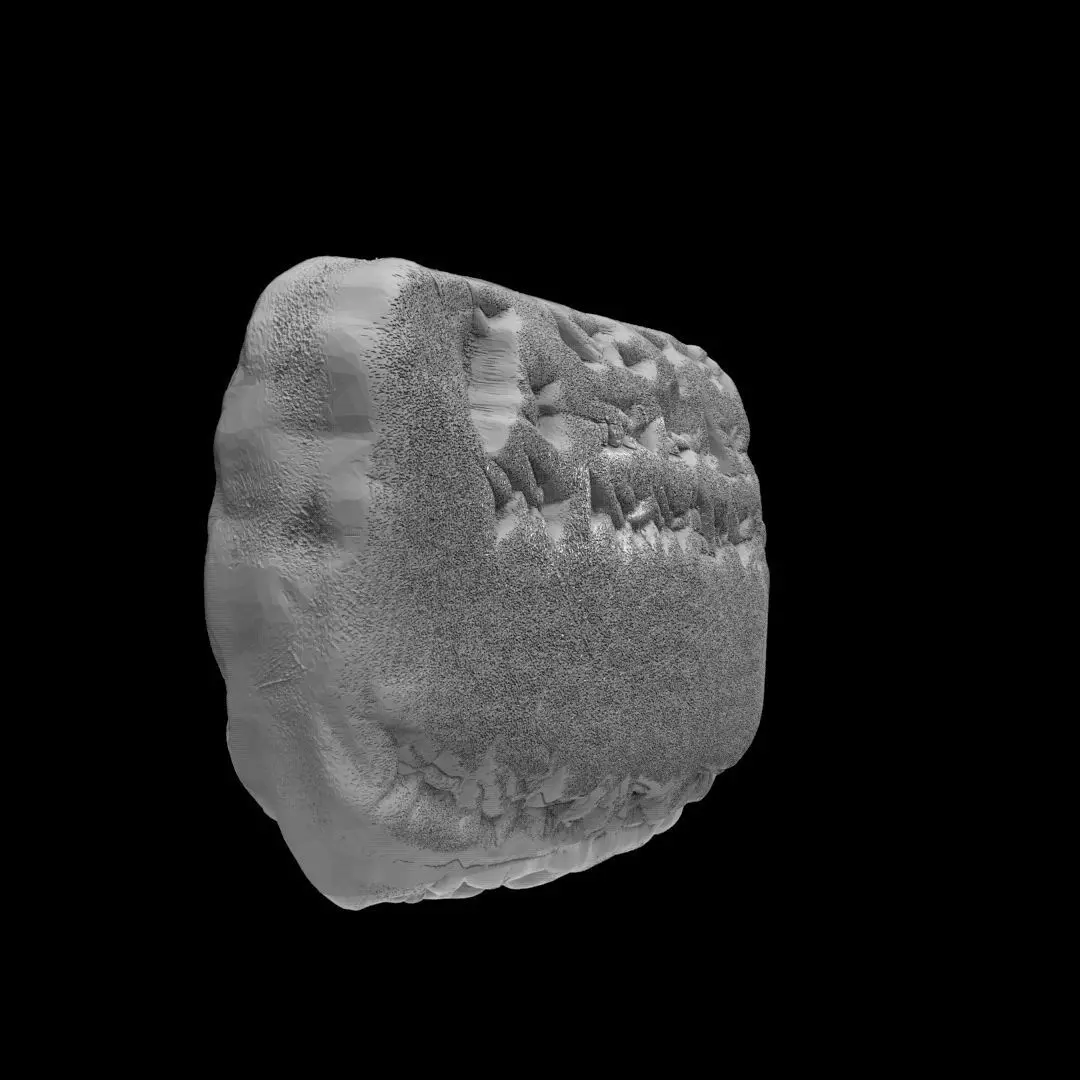 Nebo-Sarsekim Tablet 3D print model_14