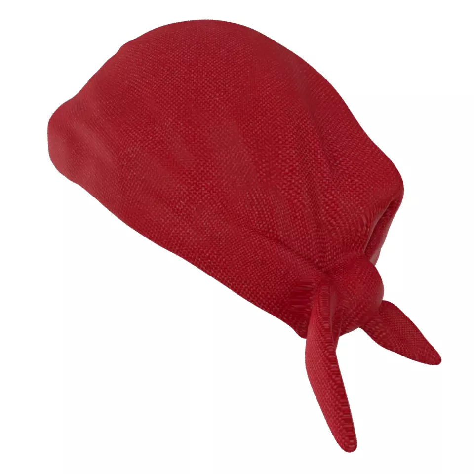 Bandana Low-poly 3D model_3