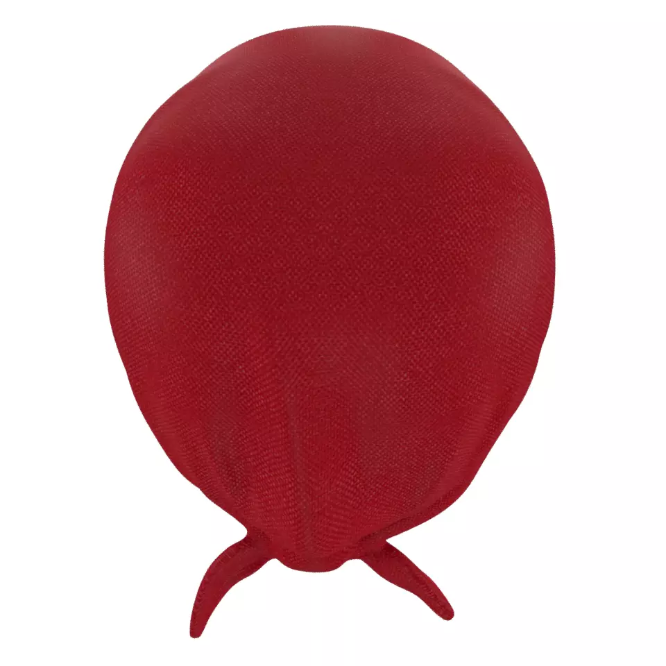 Bandana Low-poly 3D model_2