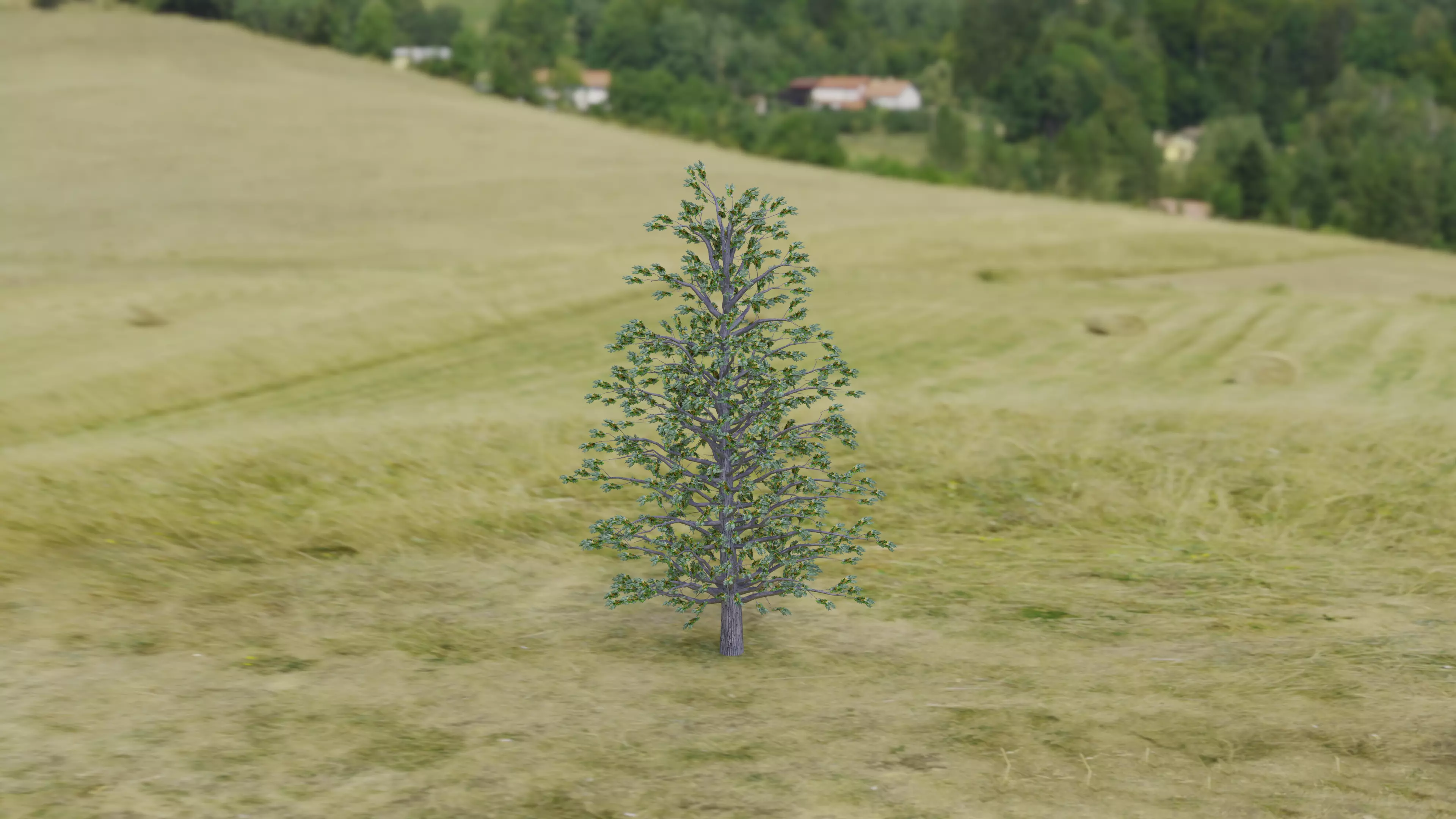 Arnold Tree Low-poly 3D model_0