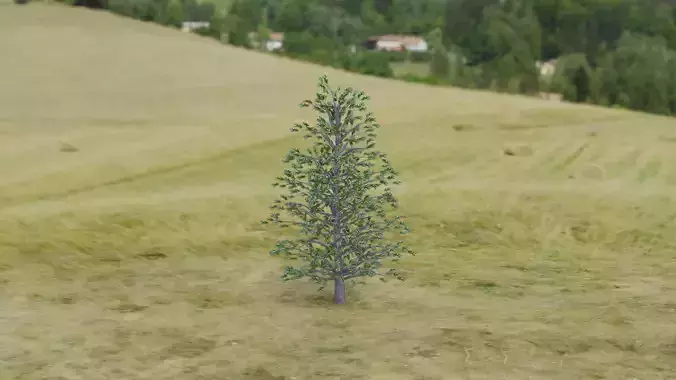 Arnold Tree Low-poly 3D model