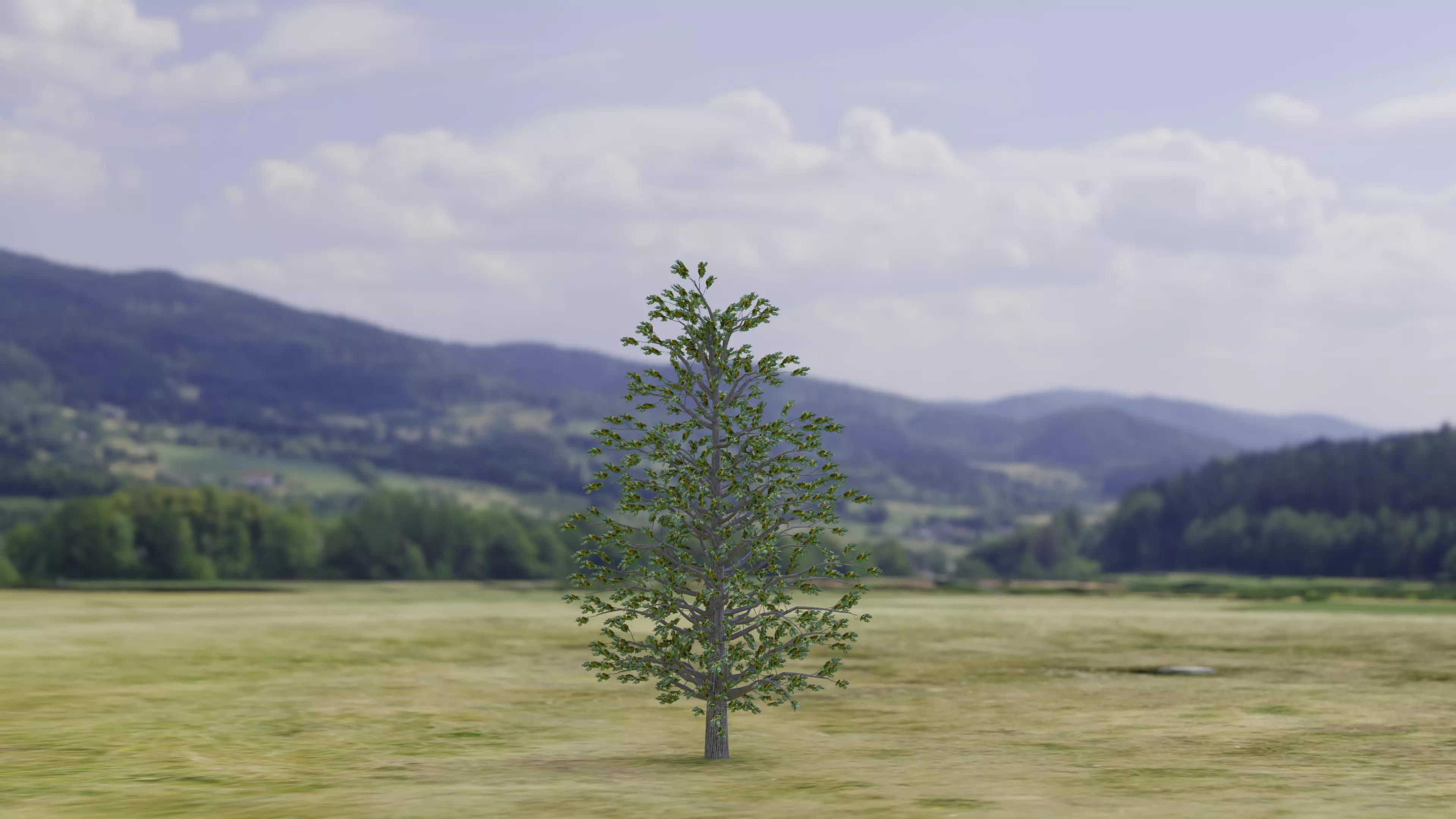 Arnold Tree Low-poly 3D model_1