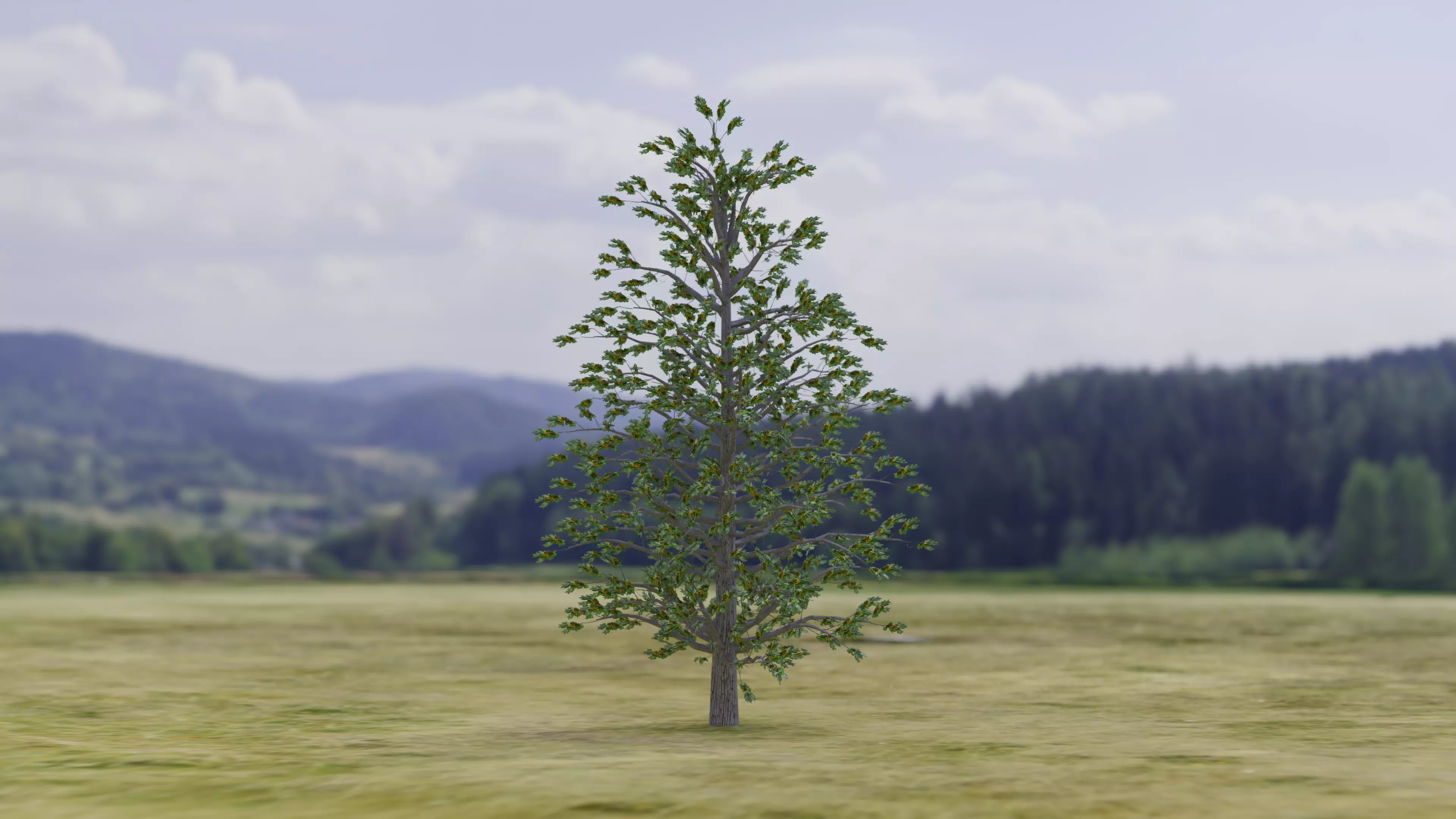 Arnold Tree Low-poly 3D model_2