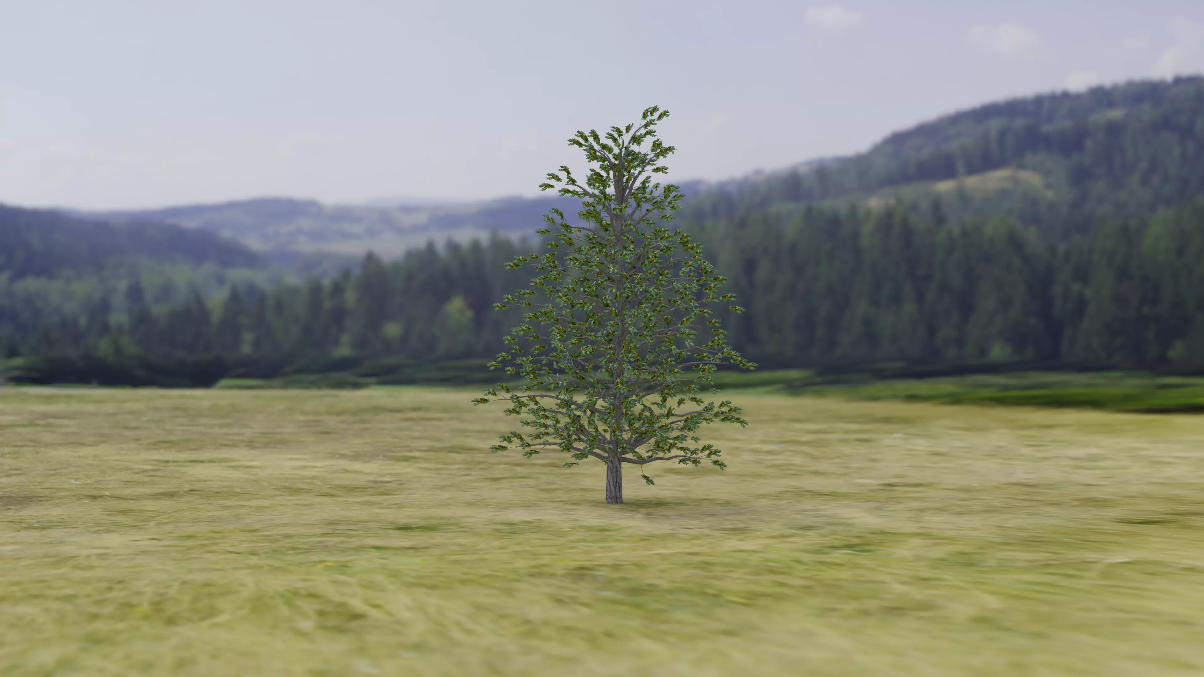 Arnold Tree Low-poly 3D model_3