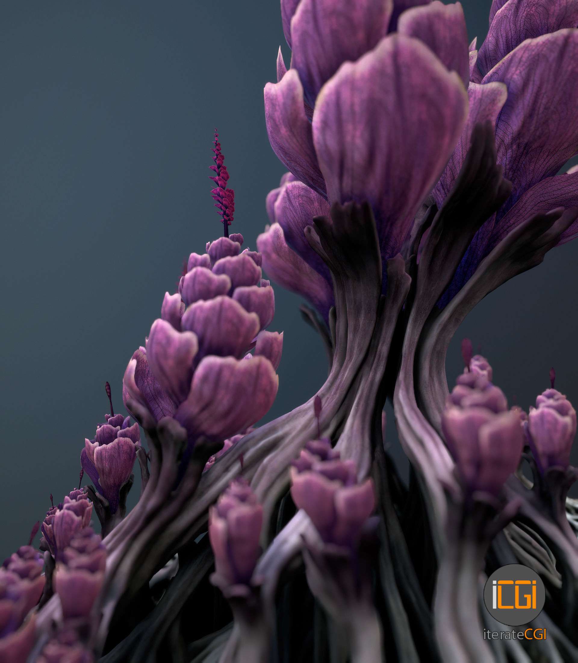 Alien plant Succulent Type 1 Low-poly 3D model_3