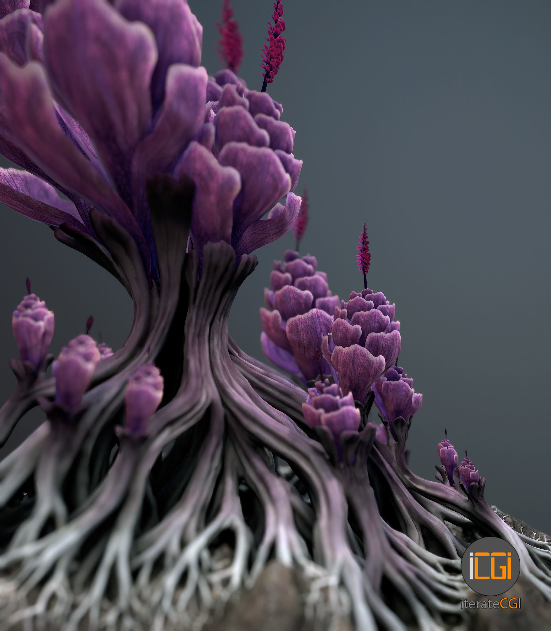 Alien plant Succulent Type 1 Low-poly 3D model_11