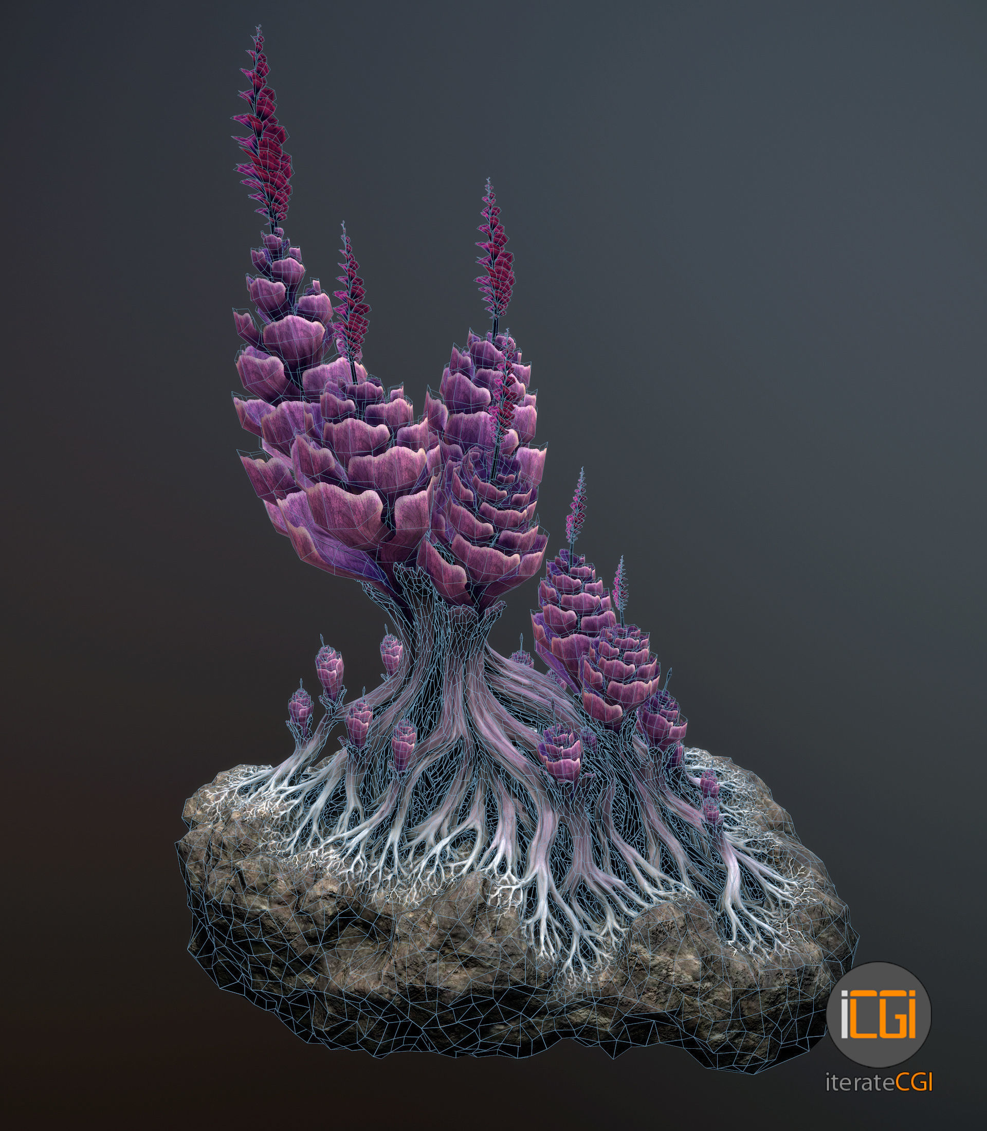 Alien plant Succulent Type 1 Low-poly 3D model_14