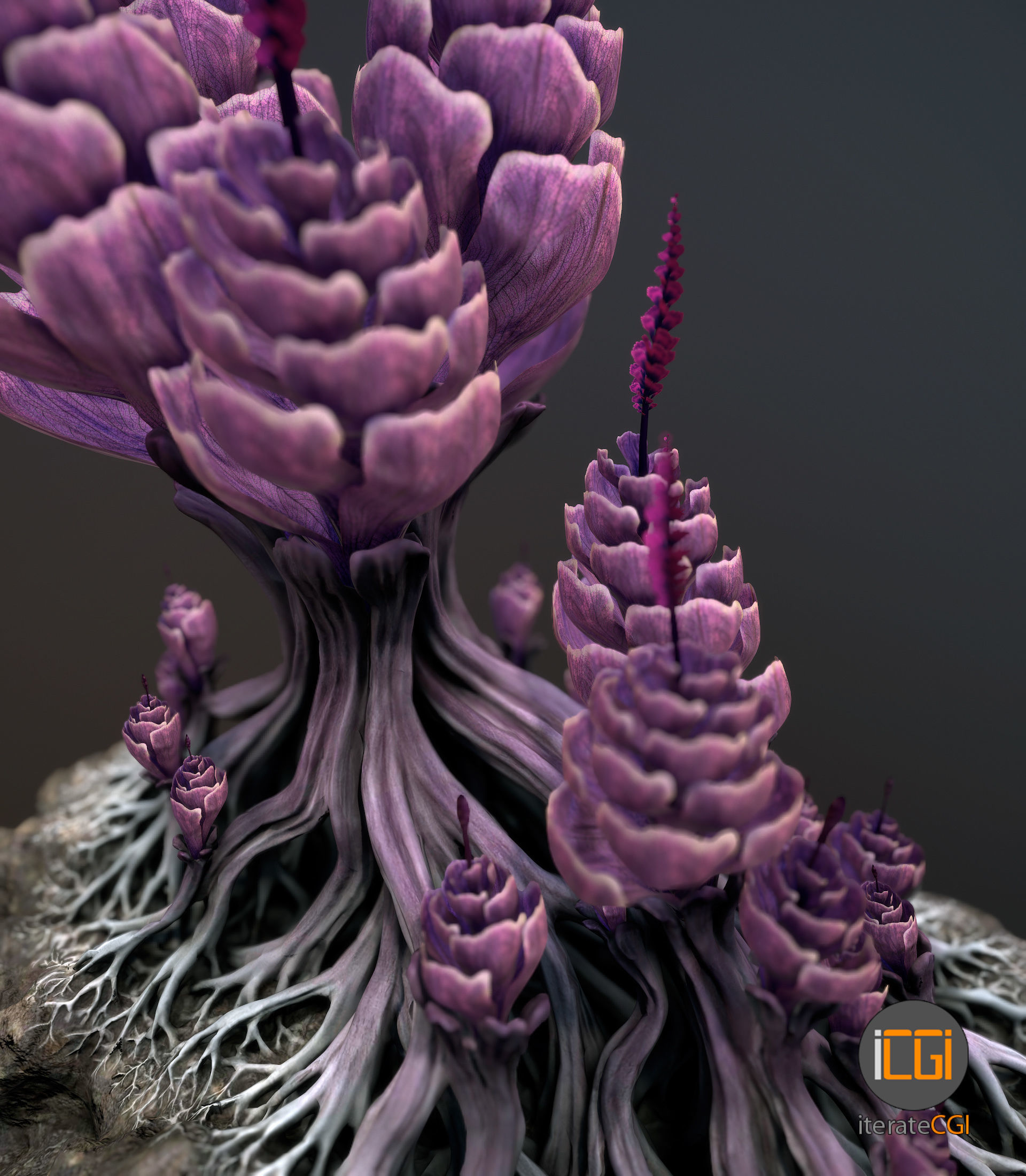 Alien plant Succulent Type 1 Low-poly 3D model_7