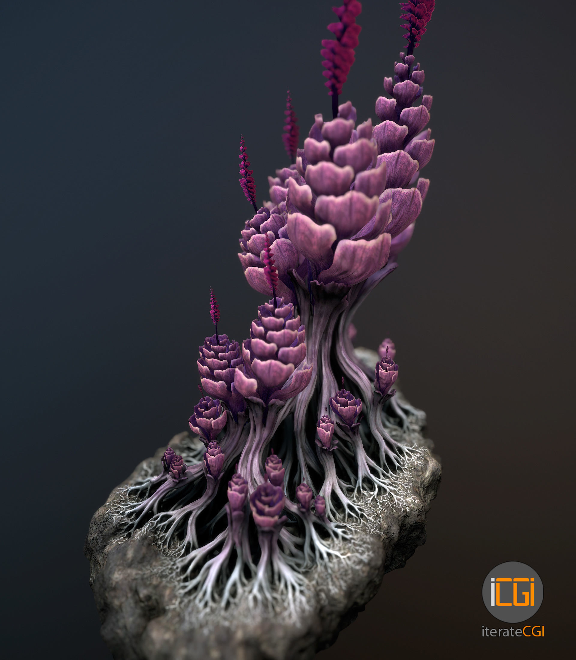 Alien plant Succulent Type 1 Low-poly 3D model_5